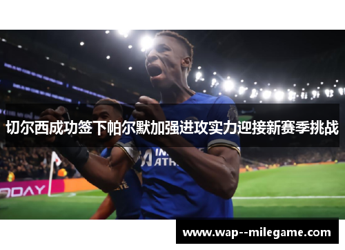 切尔西成功签下帕尔默加强进攻实力迎接新赛季挑战